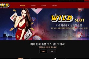 와일드슬롯 (WILD SL0T) 입금플러스 및 사이트정보